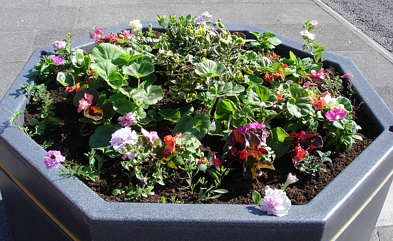 flower tub