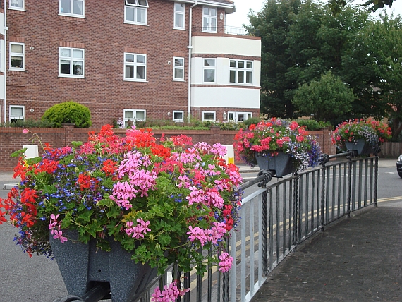 flower boxes