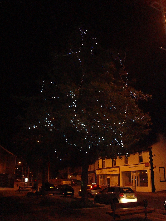 memorial tree