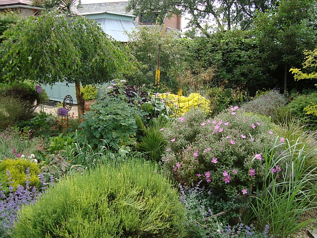 cottage garden