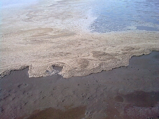 sea foam