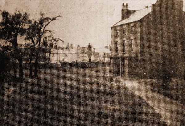 Grove House