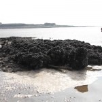 shipwreck