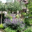 garden party