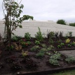 flower bed