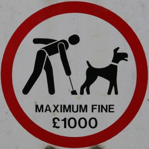 Dog fouling sign