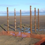 piles