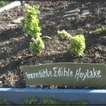 incred ed hoylake