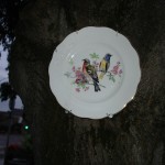 plate in tree