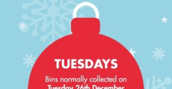 Christmas bin collection